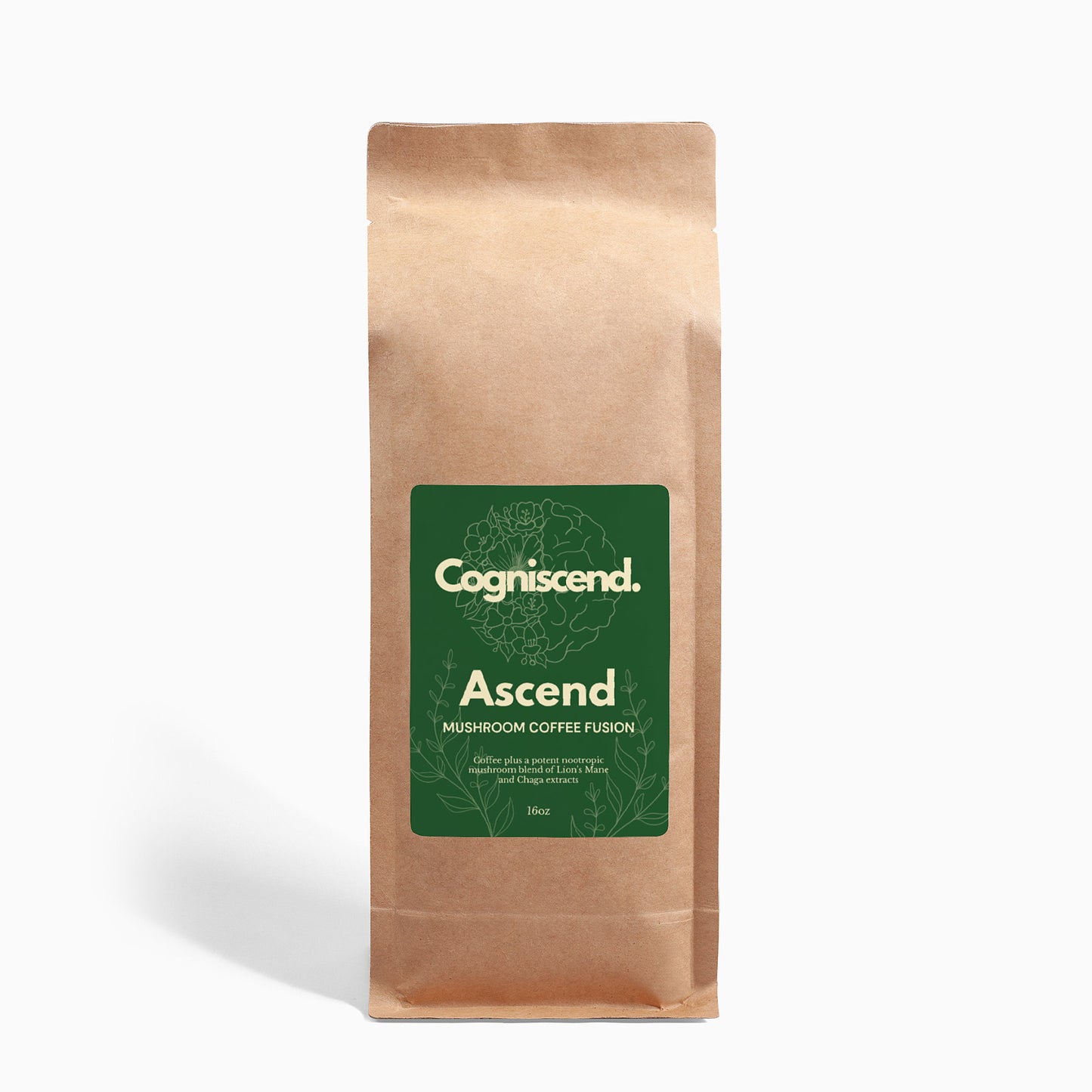 Ascend - Mushroom Coffee Fusion - Lion’s Mane & Chaga 16oz