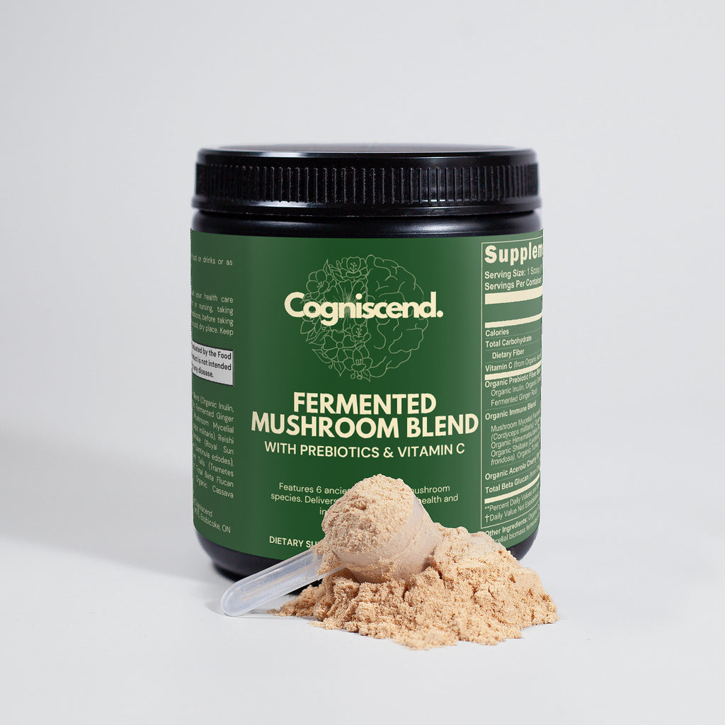 Cogniscend fermented mushroom blend container with powder and scoop on a light gray background